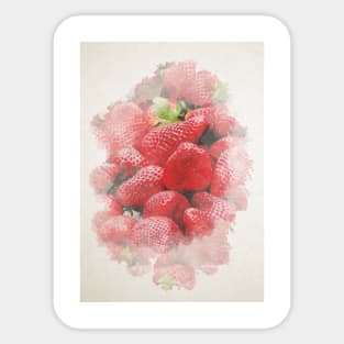 Vintage Watercolor Strawberries Sticker